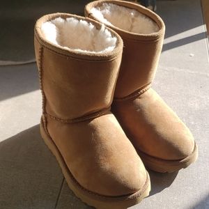 Toddler Uggs